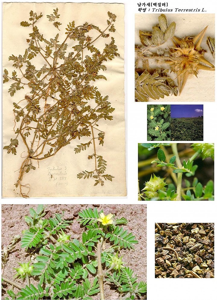 1916142843_d75b0b54_25EC258225AC25EC259B