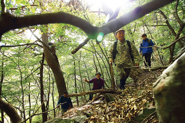 5d17f8b41aa99da3827f2f338c4ad484_1550514