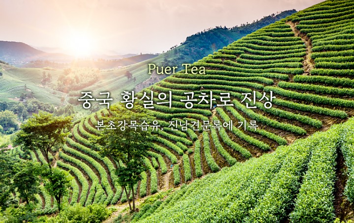 b99d585ae820f3f494388914eb78d1bb_1549356