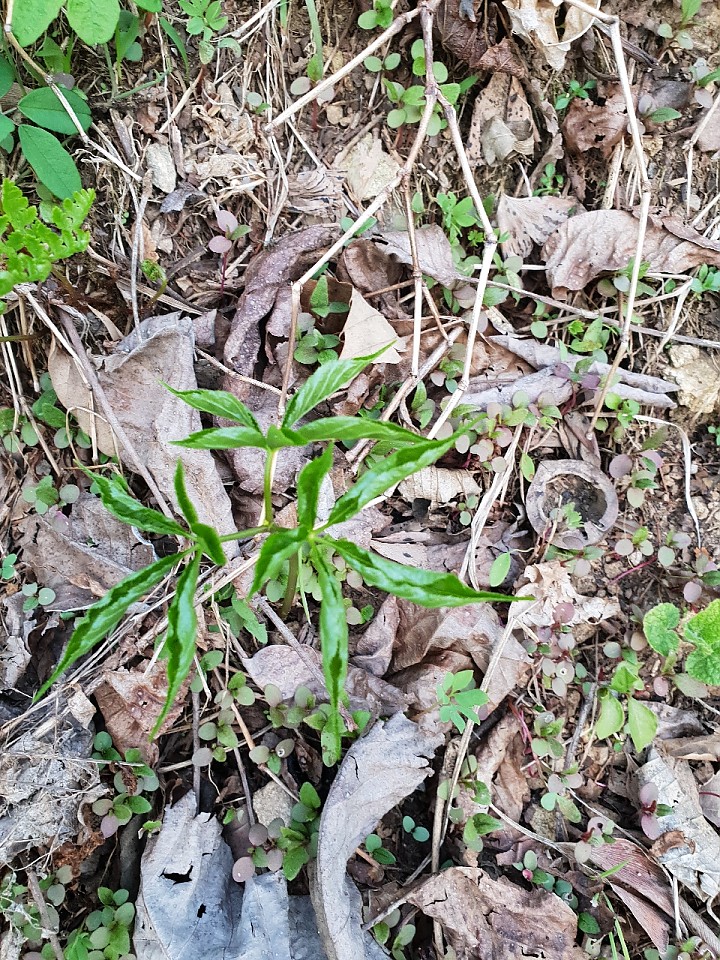 288843c2e42e260634fbfd89f561c57e_1556365