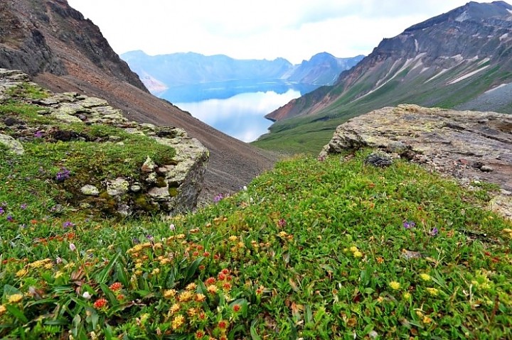 7501003a80fc25993b0a608ad1b15166_1559215