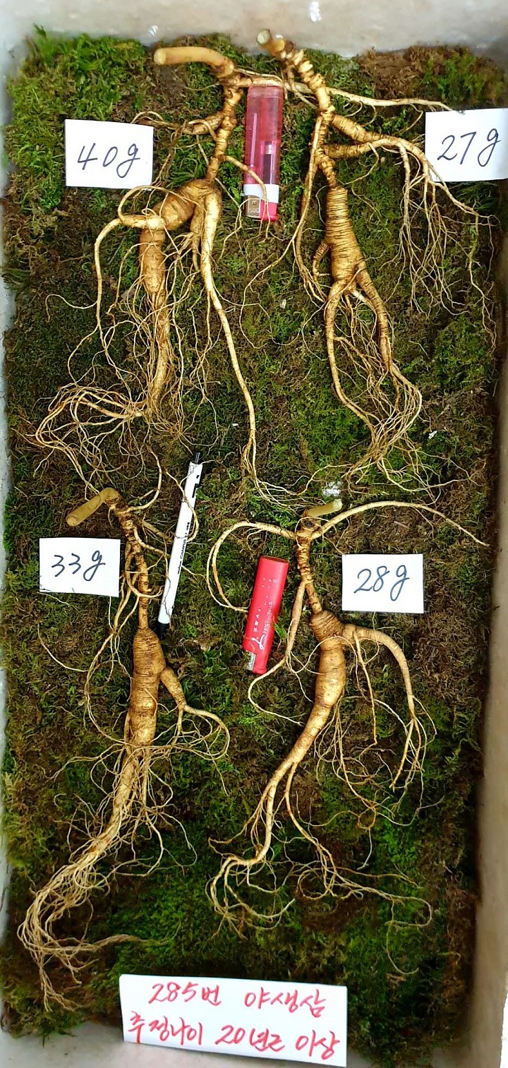 75fc903e79ba583e6a174942ae37a2c6_1594271